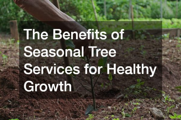 The Benefits of Seasonal Tree Services for Healthy Growth