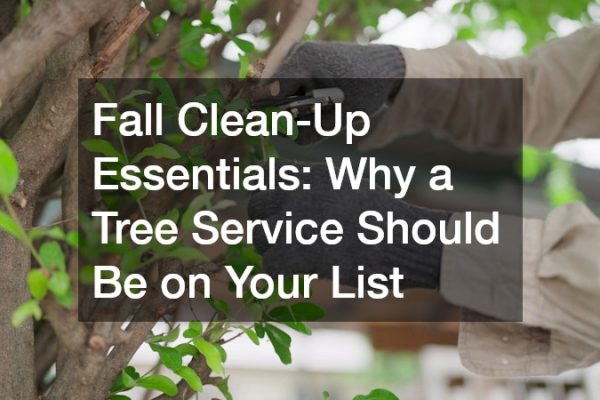 Fall Clean-Up Essentials Why a Tree Service Should Be on Your List
